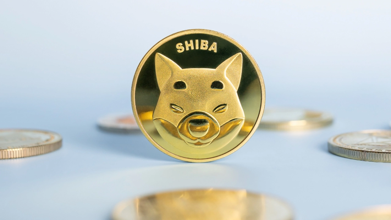 The number of long-term Shiba Inu holders is increasing