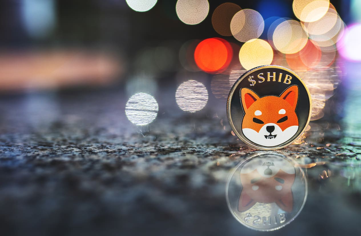 The low speed of the Shiba Ino token has worried investors