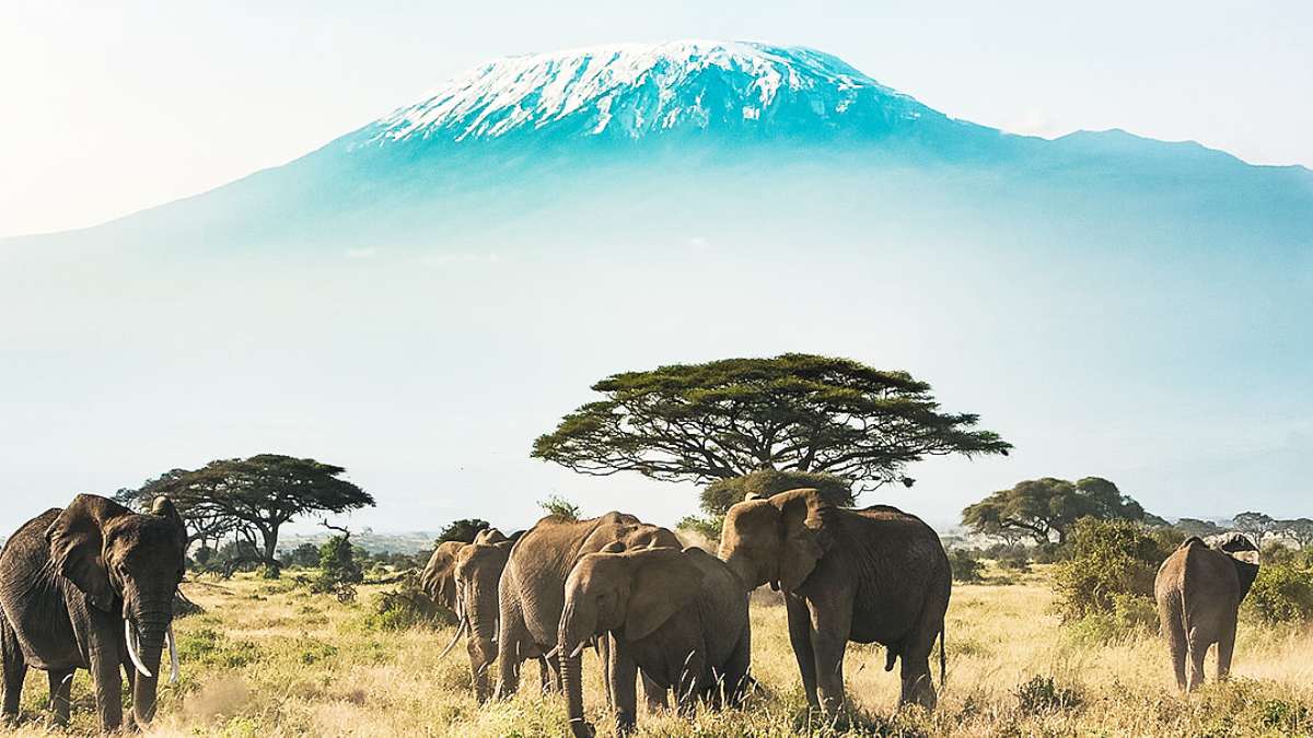 راهنمای سفر به کنیا ؛ سرزمین بکر آفریقا