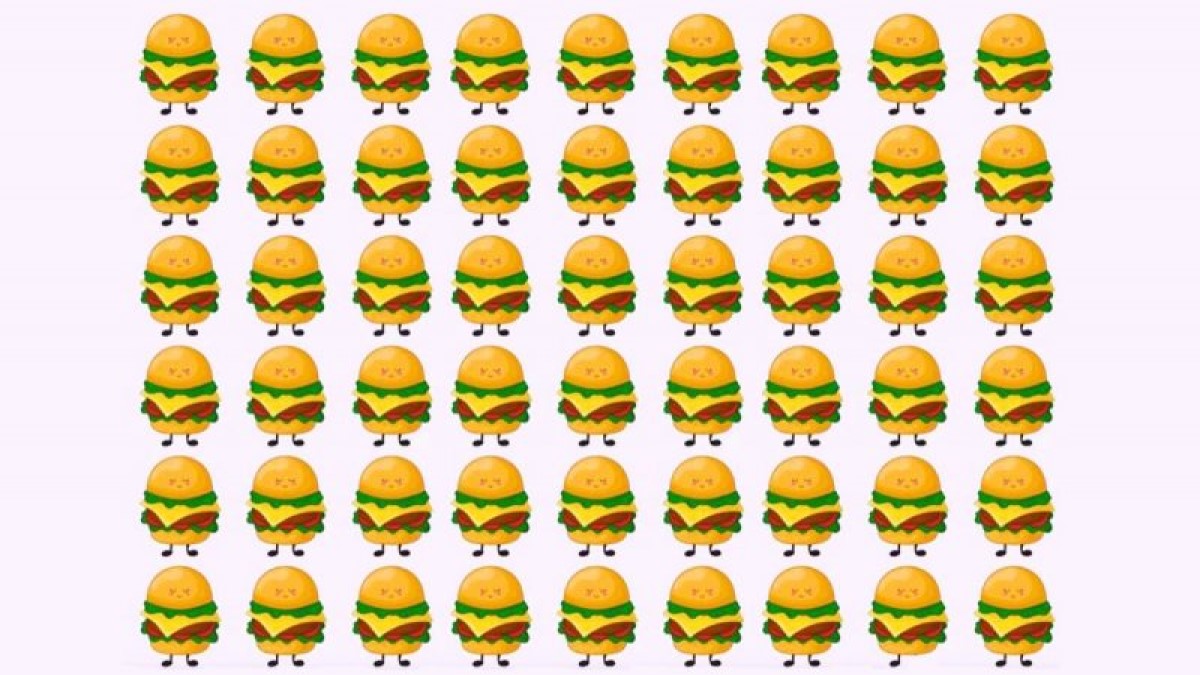تست بینایی : همبرگر متفاوت در تصویر را پیدا کنید!