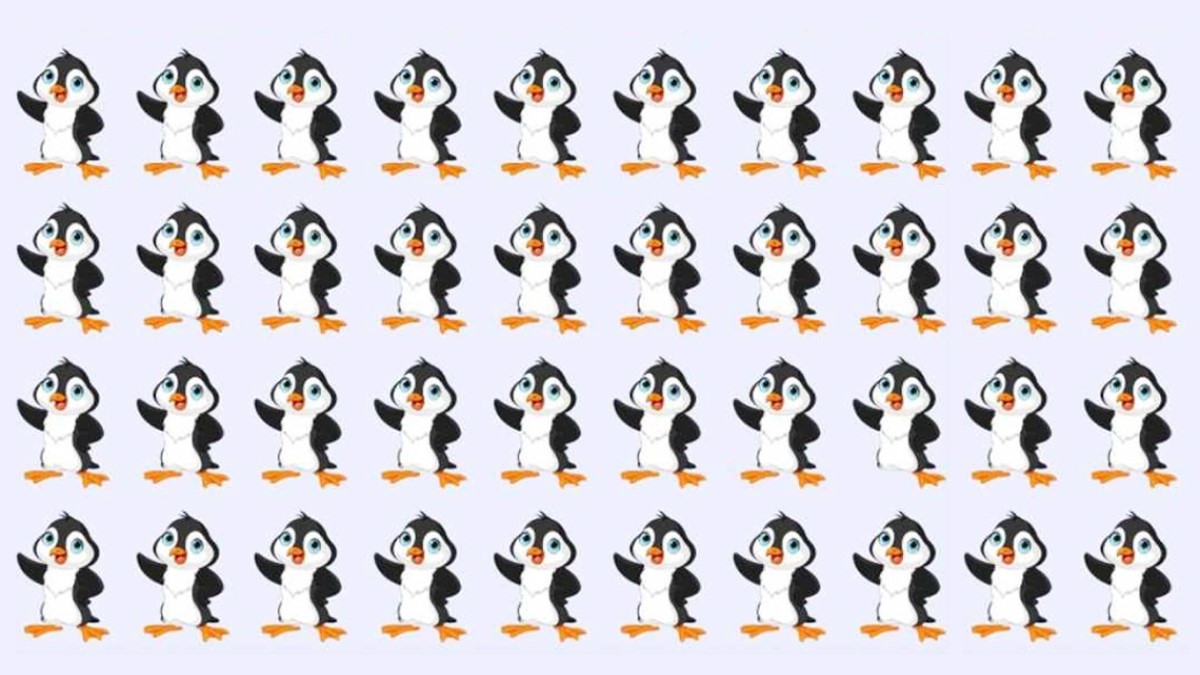 تست بینایی : زیر 9 ثانیه پنگوئن متفاوت را پیدا کنید [+ جواب معما]