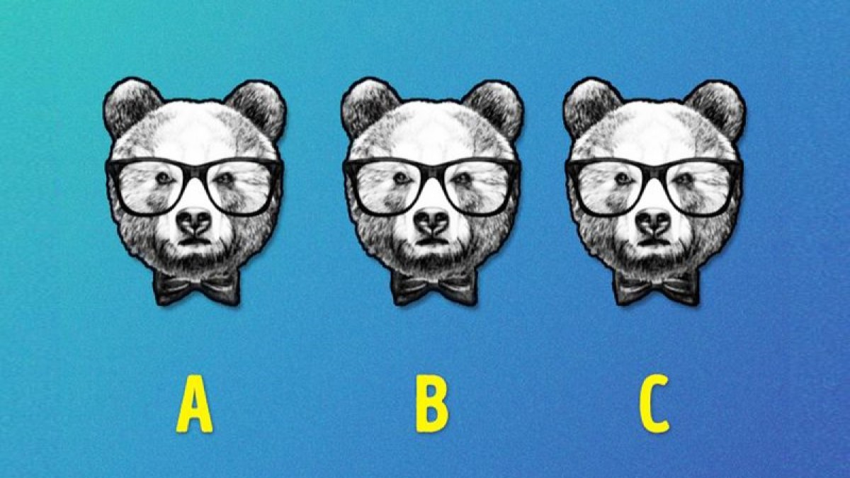تست بینایی : آیا میتوانید خرس متفاوت را در این عکس پیدا کنید؟ [+ جواب معما]