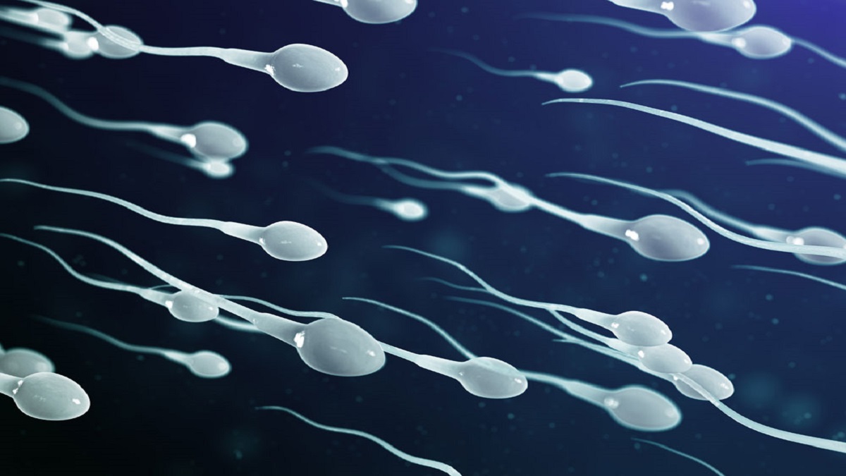 کاهش چشمگیر تعداد اسپرم مردان در جهان ؛ نسل بشر در معرض خطر!