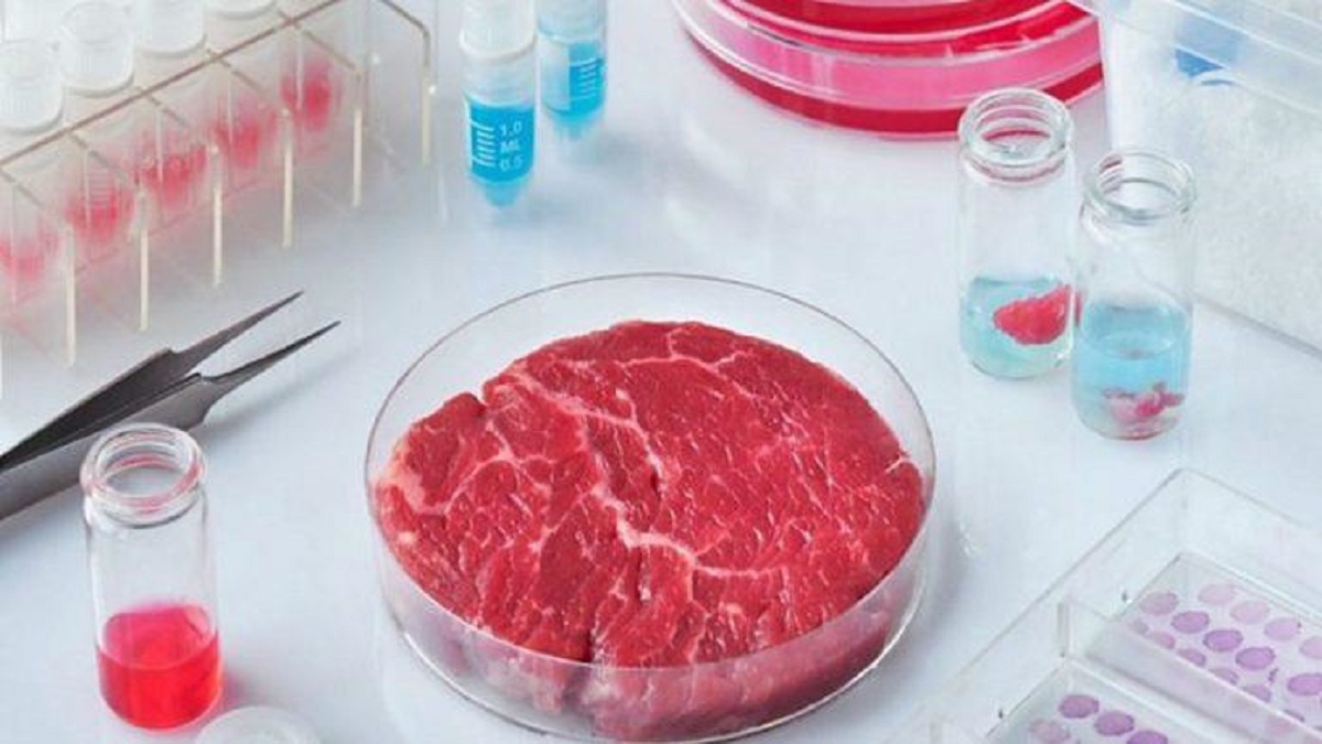 گوشت مصنوعی آزمایشگاهی تأییدیه FDA را دریافت کرد!