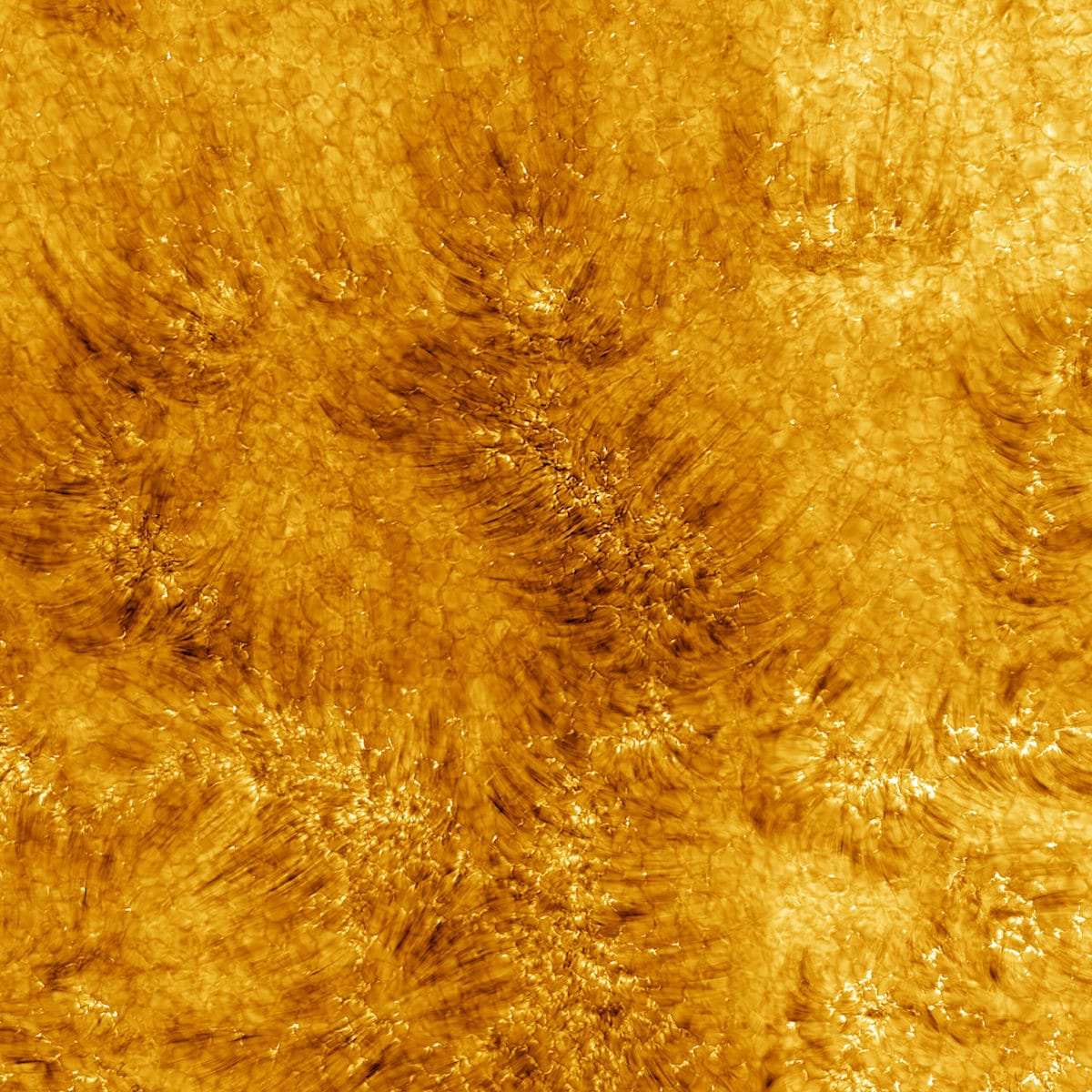 نمای نزدیک از سطح خورشید