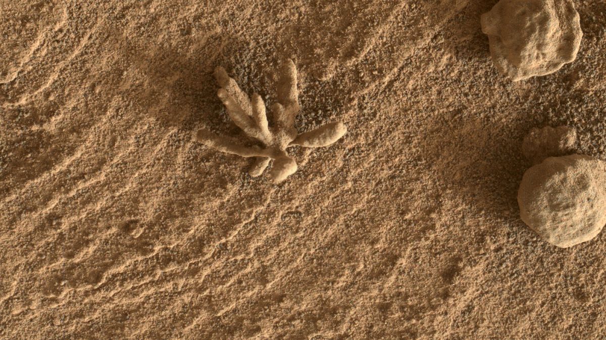 احتمال وجود حیات در مریخ با کشفیات جدید مریخ‌نورد کنجکاوی قوت گرفت