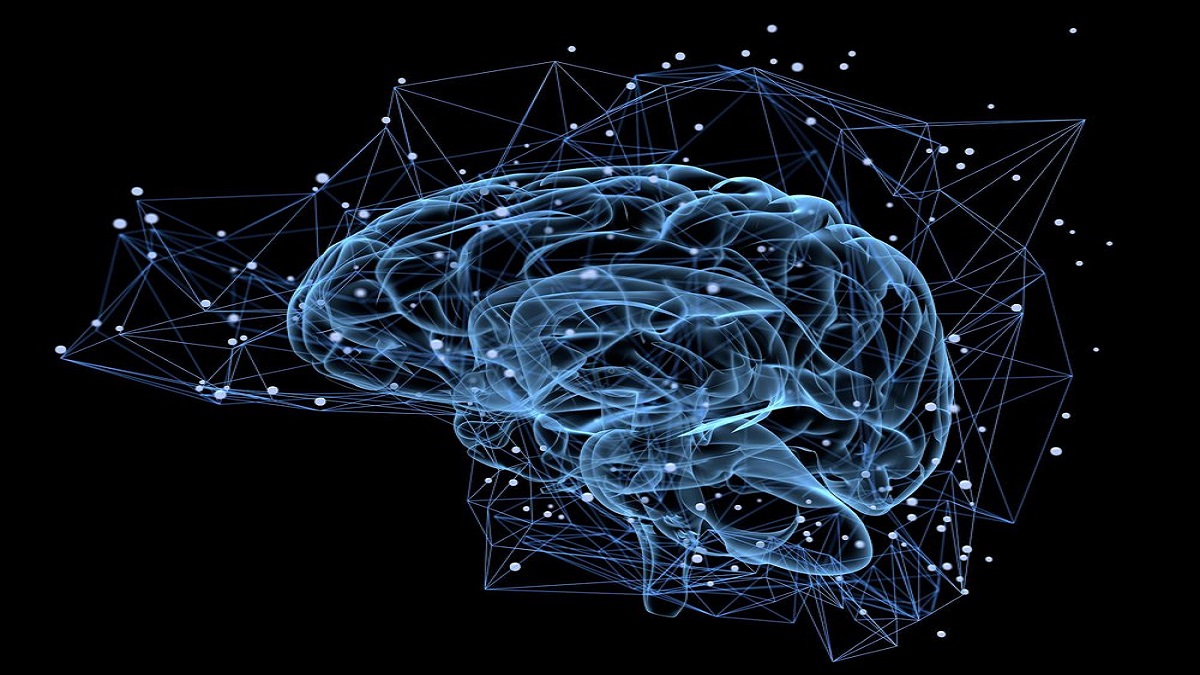 قدرت یادگیری مغز انسان در فرکانس‌های خاص افزایش می‌یابد