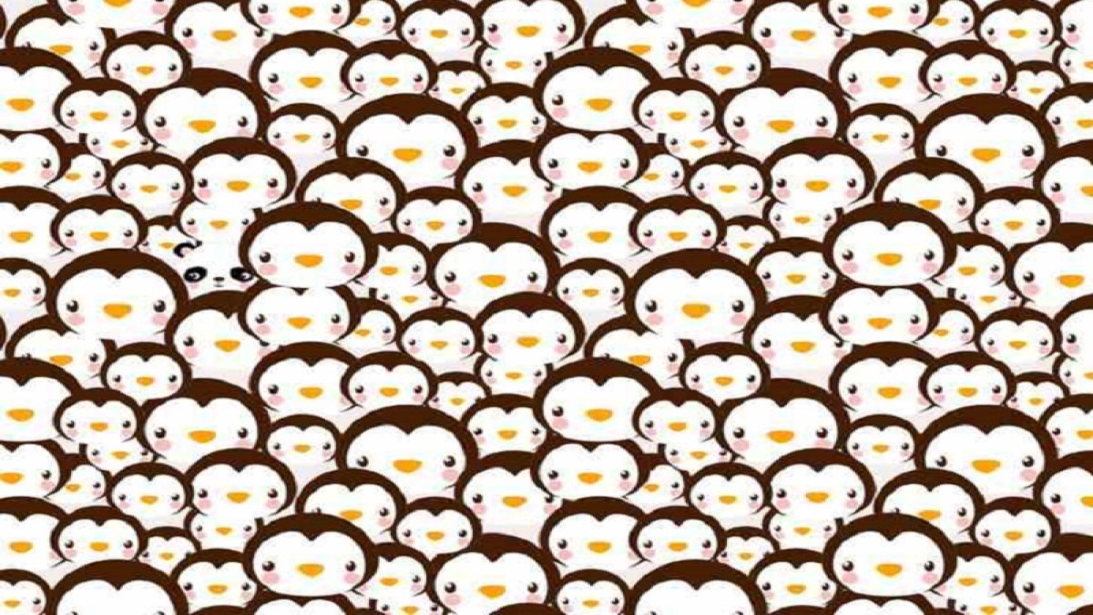 تست هوش : پاندا کوچولو را در بین پنگوئن ها پیدا کنید! [+ جواب معما]