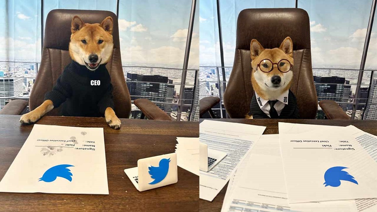 ایلان ماسک: مدیرعامل جدید توییتر سگ من است!
