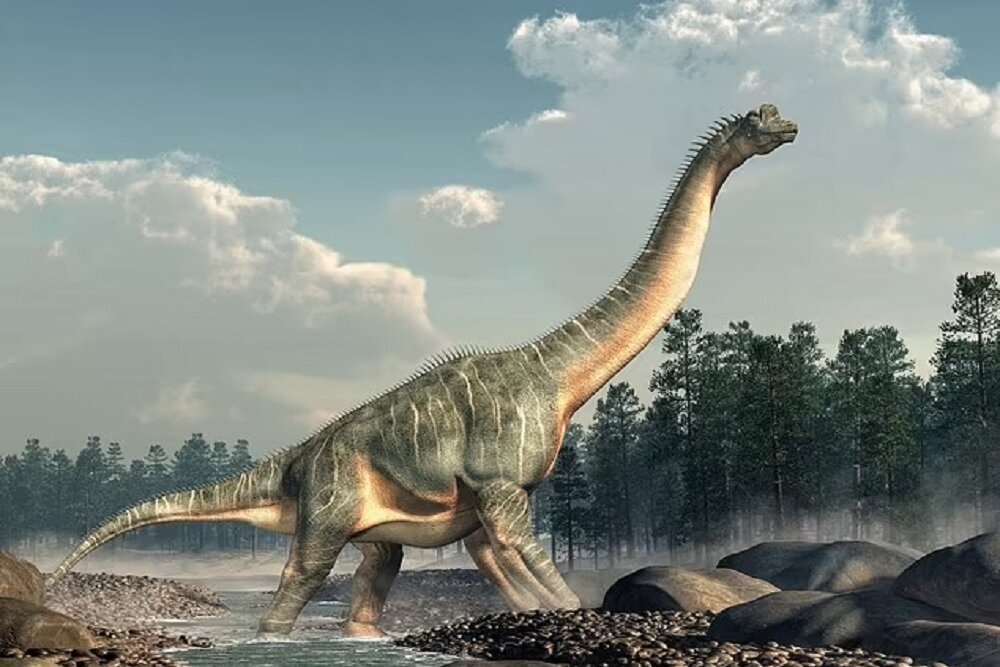 تخم دایناسور 60 میلیون ساله در موزه لندن کشف شد