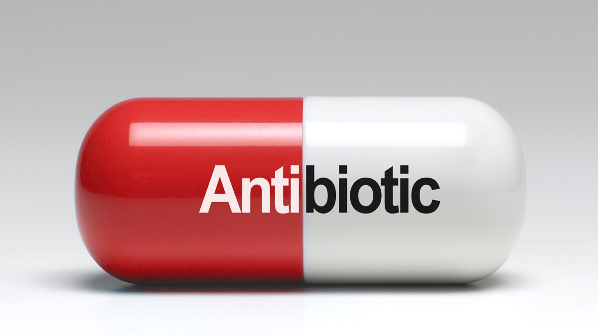 ابداع نوعی آنتی بیوتیک تغییرشکل‌دهنده برای مقابله با باکتری‌ها