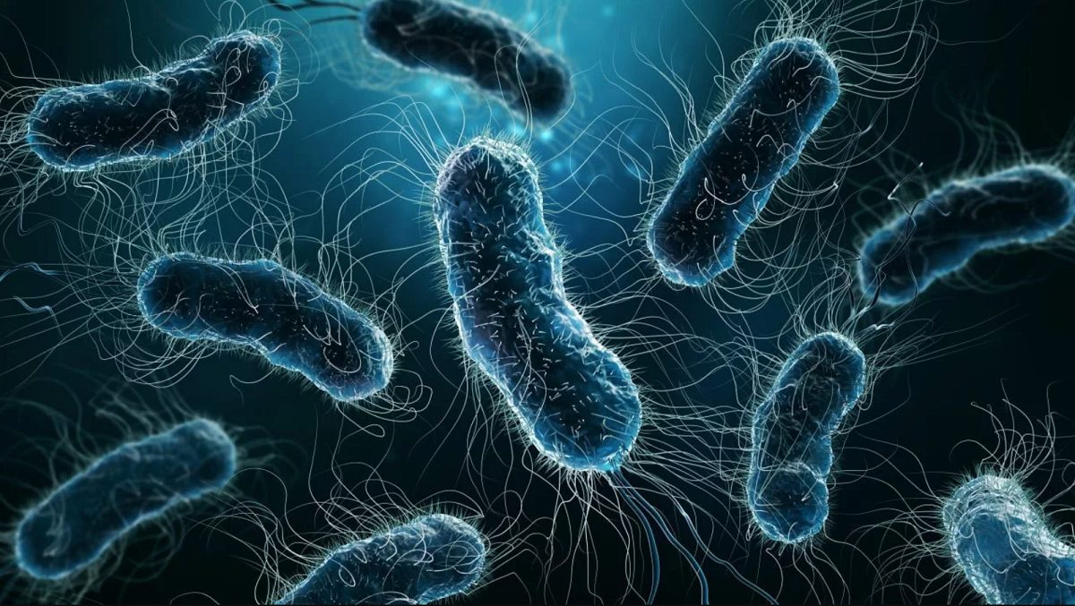 نوعی آنتی بیوتیک تغییرشکل‌دهنده برای مقابله با باکتری‌ها ابداع شد