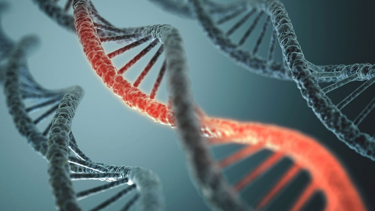 ویروس‌های باستانی DNA انسان کلید درمان سرطان هستند