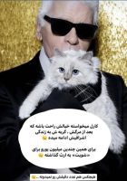 با دیدن زندگی سوپرلاکچری شوپت متحیر خواهید شد