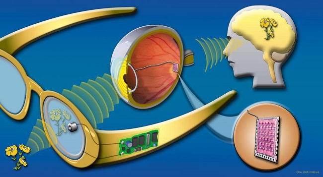بازیابی بینایی افراد نابینا با تکنولوژی ممکن شد