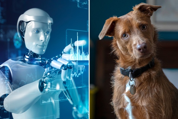 رویای صحبت با حیوانات به وسیله هوش مصنوعی ممکن خواهد شد