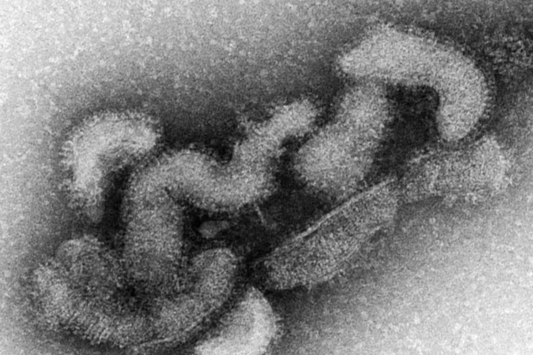 اولین مرگ ناشی از ویروس گزیدگی کنه در ژاپن ثبت شد