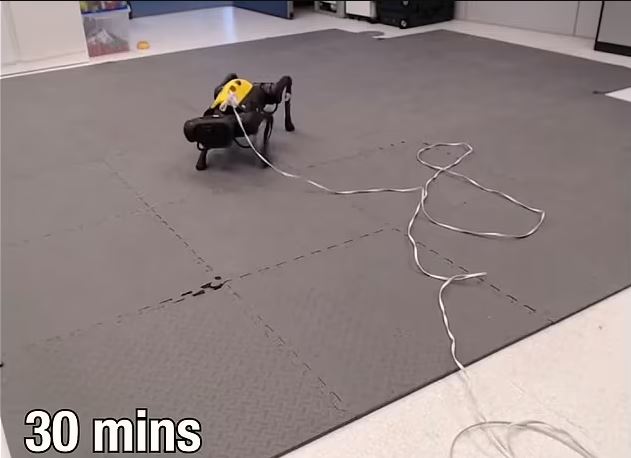 این سگ رباتیک هوشمند همه را شگفت زده کرد