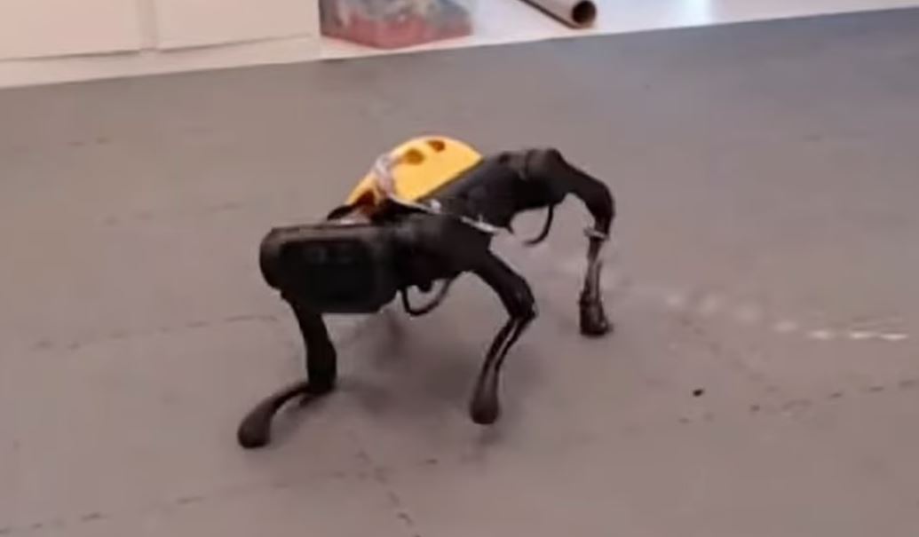 این سگ رباتیک هوشمند همه را شگفت زده کرد