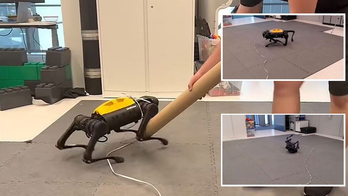 تماشا کنید: این سگ رباتیک بدون هیچ آموزشی راه رفتن را آغاز کرد! [+ویدیو]