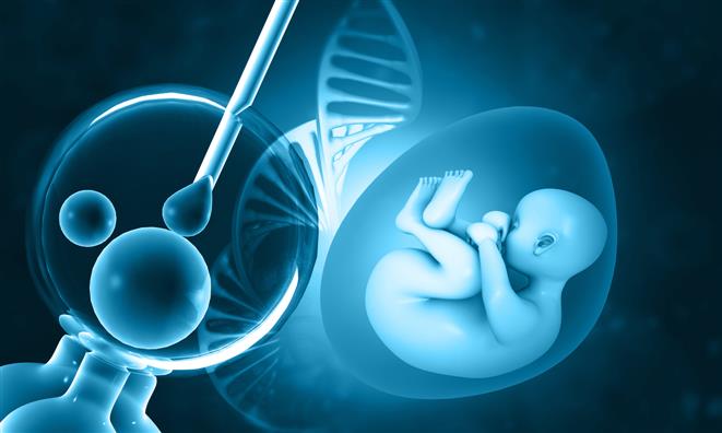 دانشمندان موفق به تولید نخستین جنین مصنوعی انسان شدند
