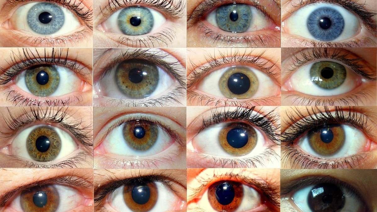 رنگ چشم چطور تعیین می‌شود؟