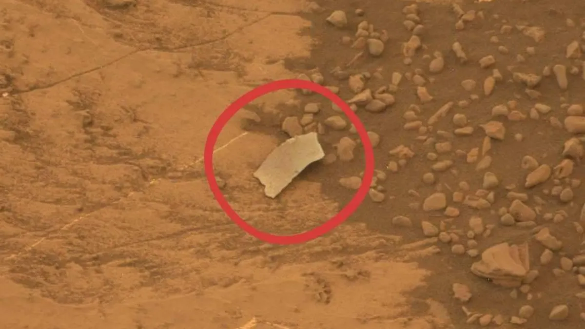 ماجرای توری پلاستیکی در تصویر ناسا از مریخ ؛ اثری از حیات بیگانه یا یک دروغ بزرگ؟