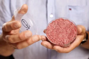 مجوز استفاده و فروش گوشت آزمایشگاهی صادر شد