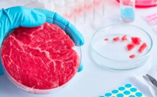 مجوز استفاده و فروش گوشت آزمایشگاهی صادر شد