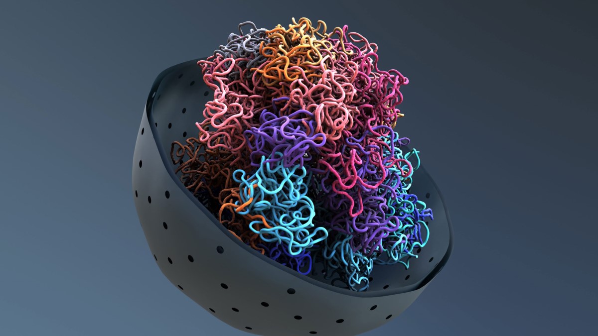 کشف یک پروتئین جدید برای درمان سرطان