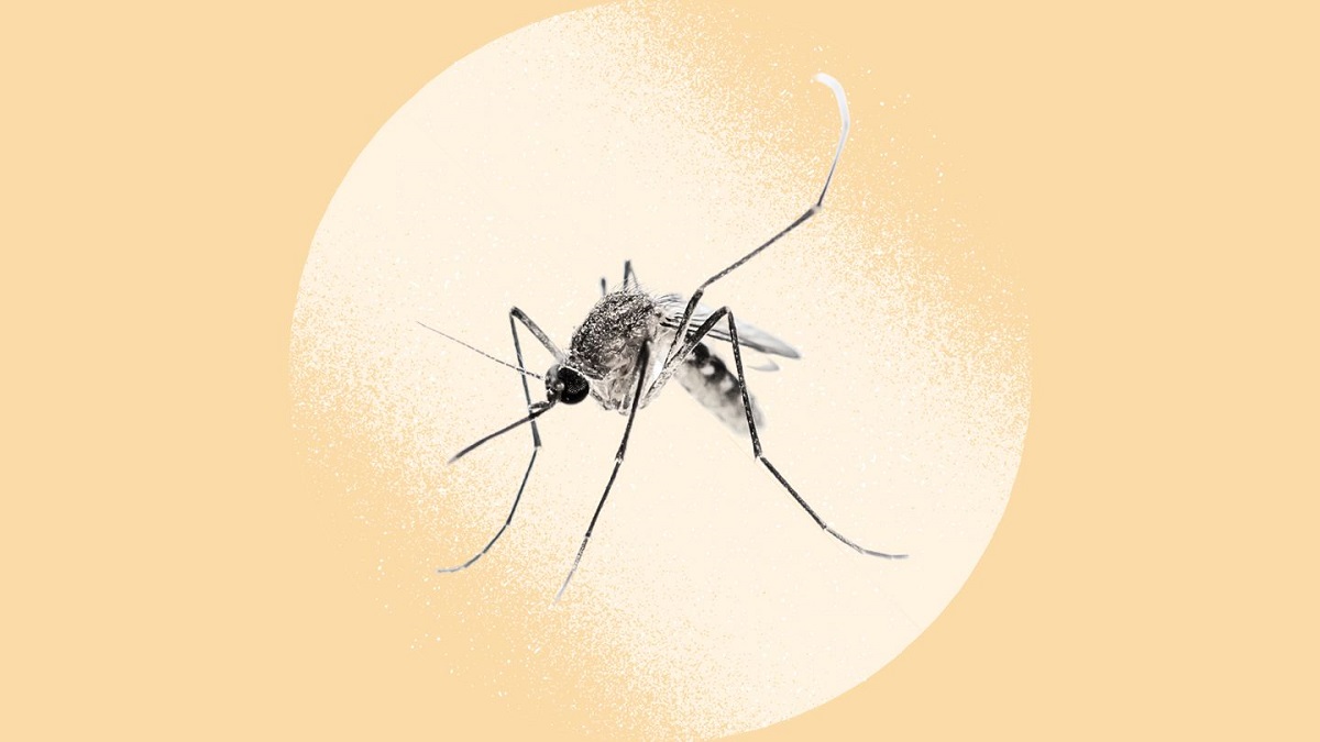 فرایند گرمایش جهانی ارتباط مستقیمی با افزایش بیماری مالاریا دارد