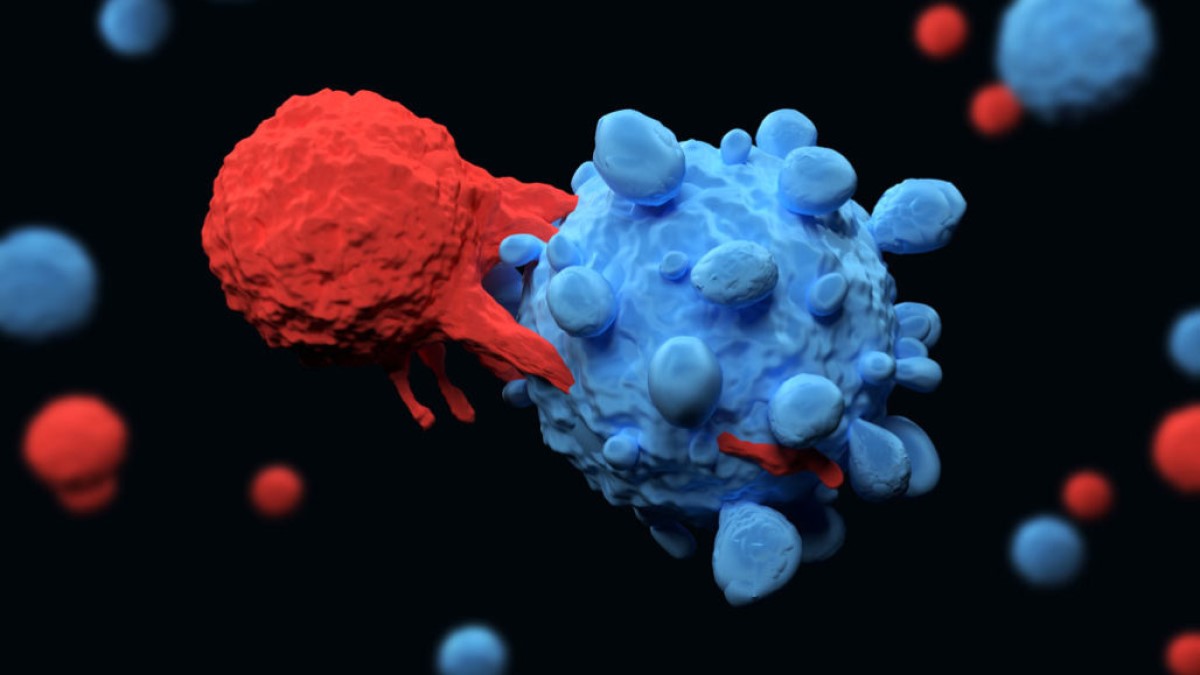 کشف یک پروتئین جدید برای درمان سرطان