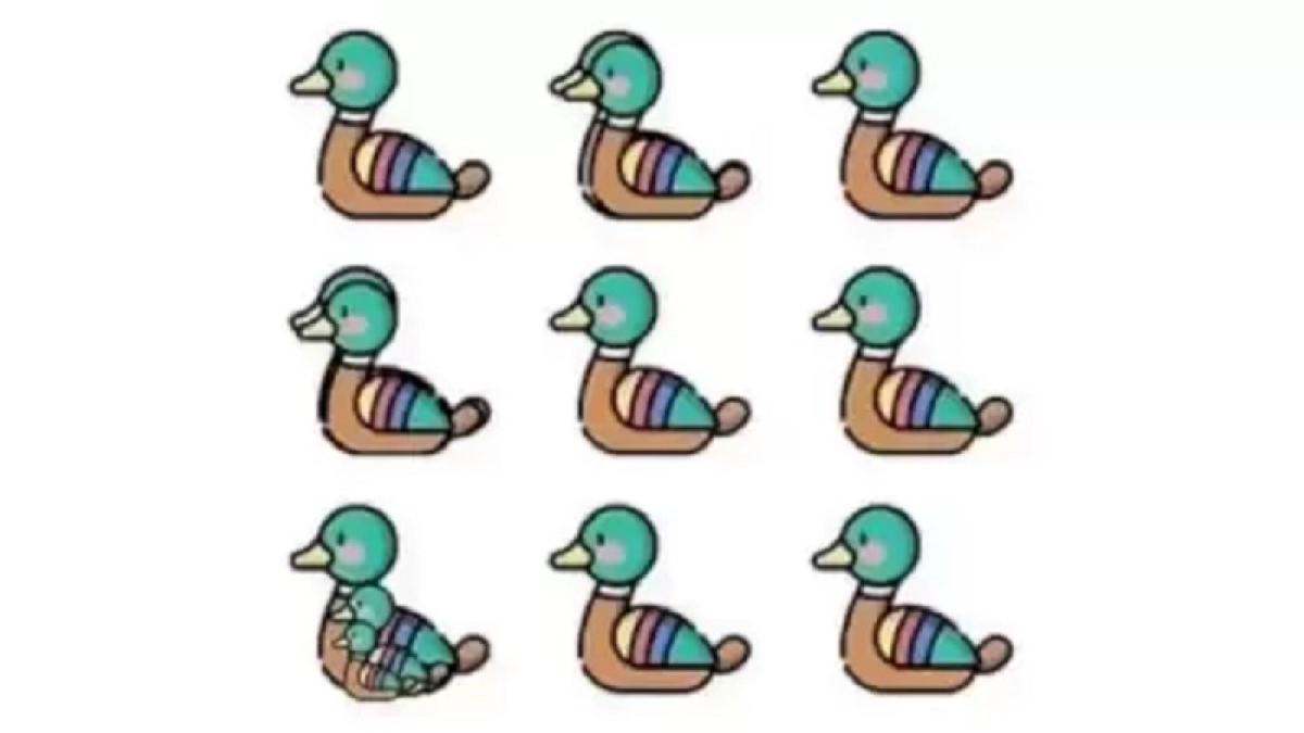 تست هوش : در تصویر زیر چند اردک وجود دارد؟ [+ جواب معما]