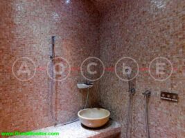 قطار لاکچری ولادیمیر پوتین رویت شد