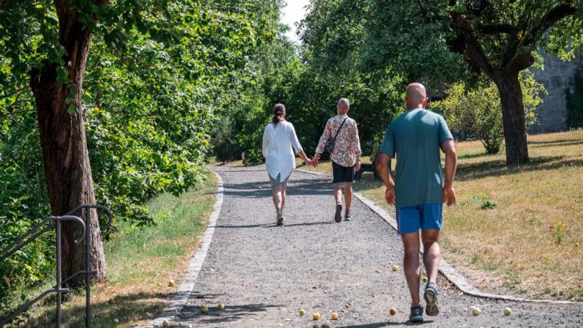 کاهش خطر مرگ با 4 هزار قدم پیاده‌روی روزانه