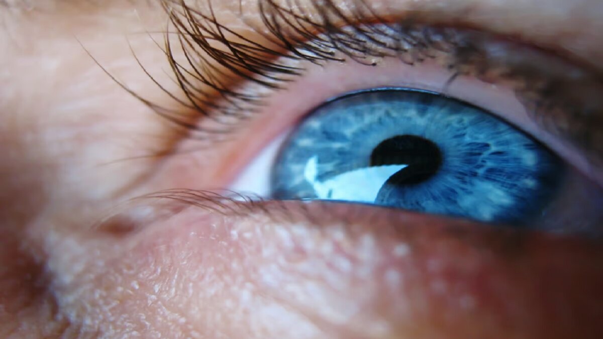 احیای بینایی با سلول‌های بنیادی ؛ انقلابی در درمان آسیب‌های چشمی!