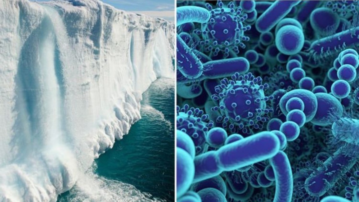 ویروس‌های محبوس در یخ‌های قطبی تهدیدی جدی علیه بشریت هستند