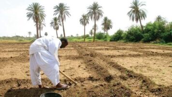 ایجاد آب‌وهوای مصنوعی در دل بیایان توسط عربستان سعودی