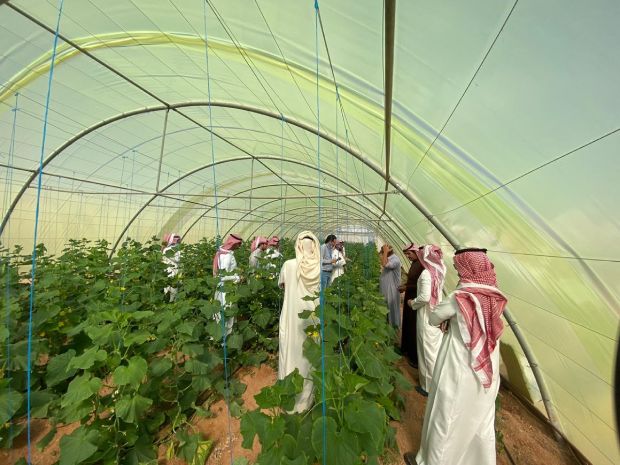 ایجاد آب‌وهوای مصنوعی در دل بیایان توسط عربستان سعودی