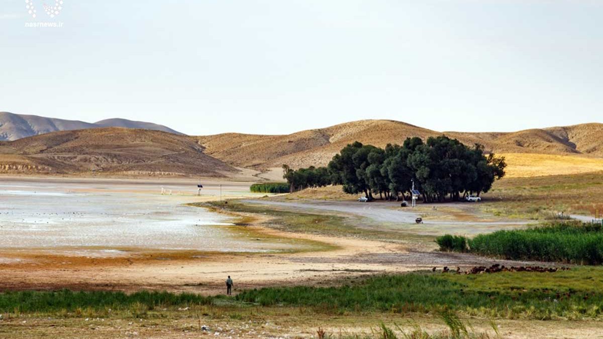 خشک شدن کامل تالاب قوری گل ؛ بعد از دریاچه ارومیه، نوبت به تالاب‌ها رسیده است! [+ویدیو]