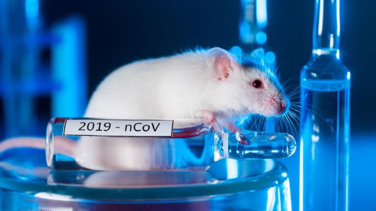 کشف آزمایشگاه مخفی چینی‌ها در آمریکا با هزاران موش مبتلا به کرونا و بیماری‌های همه‌گیر!