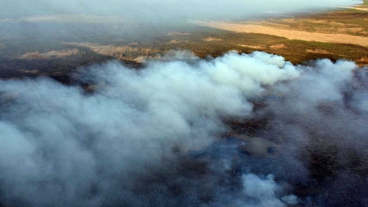 تصاویر ماهواره‌ای آتش‌سوزی گسترده در تالاب هویزه عراق