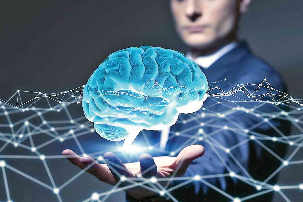 در دوره تکامل بشر اندازه مغز انسان سه برابر شده است