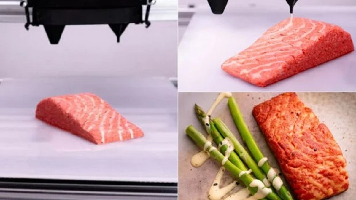 فروش نخستین گوشت ماهی تولیدشده با چاپگر سه‌بعدی در اتریش آغاز شد
