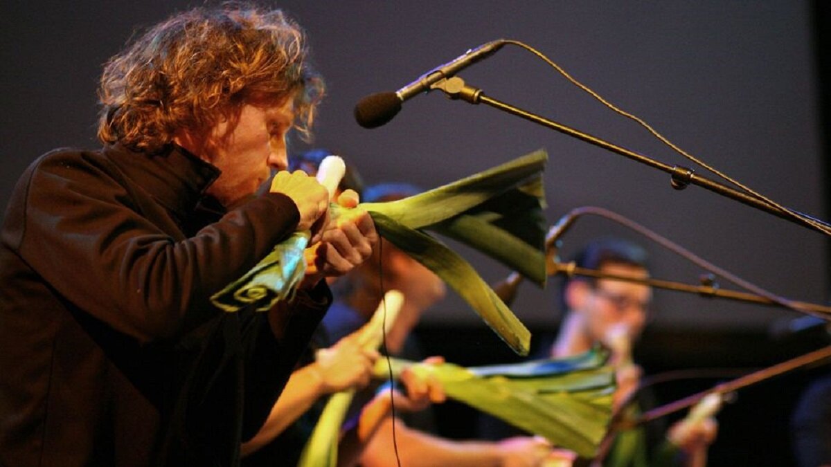 تماشا کنید: کنسرت موسیقی با سازهایی از هویج و بادمجان