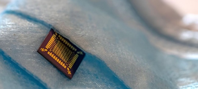 نخستین ترانزیستورهای ابریشمی ساخته شدند