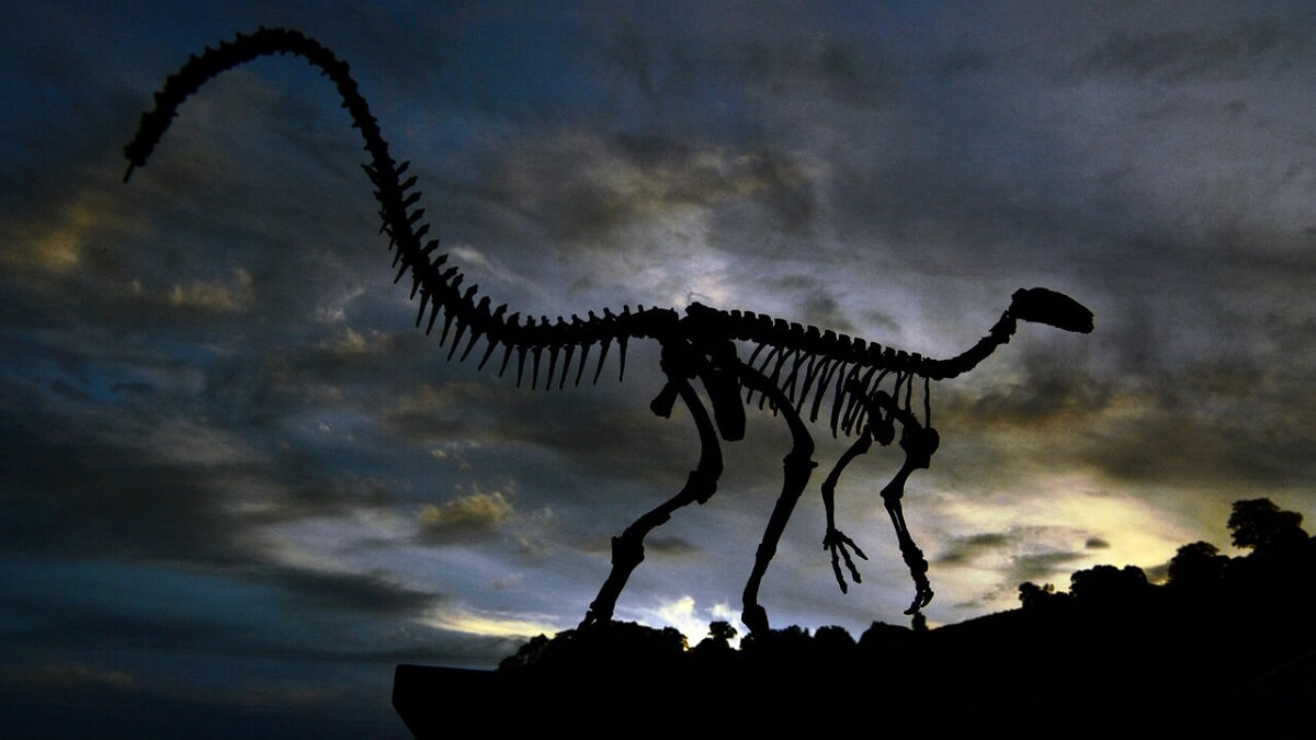 کشف گونه جدید از دایناسورها ؛ ردپای کشف شده متعلق به گونه گوشتخوار ناشناخته است