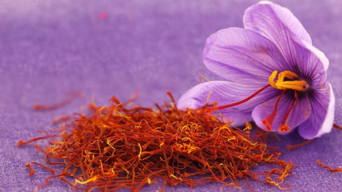 تولید قرص زعفران در ایران ؛ دستاورد دانشمندان ایرانی برای درمان سرطان و افسردگی