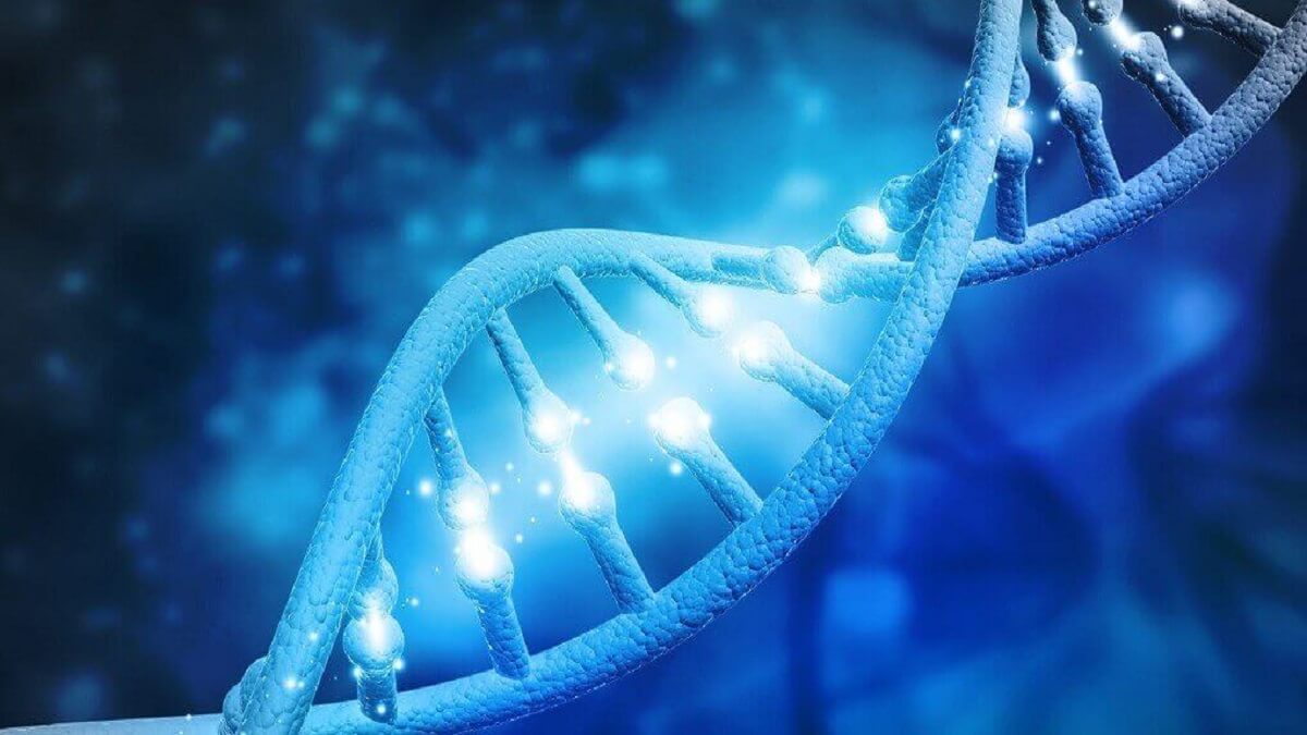 آزمایش ژنتیک چه جایگاهی در زندگی ما دارد ؟