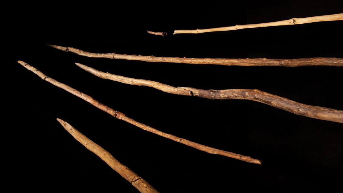 راز ۳۰۰ هزار سالهٔ باستانی آشکار شد: کشف ابزار شکار قدیمی‌ترین انسان از گنجینهٔ زمان!